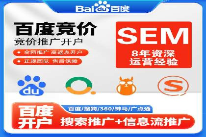 SEM搜索引擎优化：成功案例解析